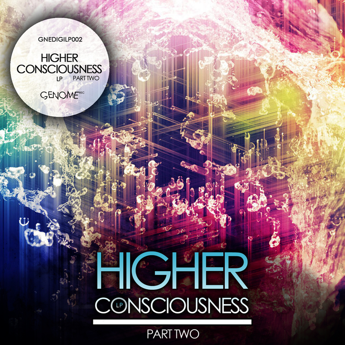 VARIOUS - Higher Consciousness Part 2