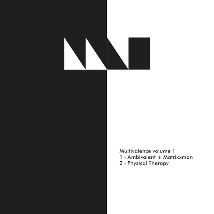 AMBIVALENT/MATRIXXMAN/PHYSICAL THERAPY/AVALON EMERSON/TOMA DUE - Multivalence Vol 1