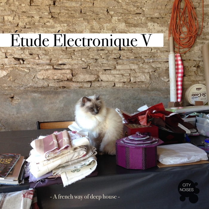 VARIOUS - Etude Electronique V - A French Way Of Deep House