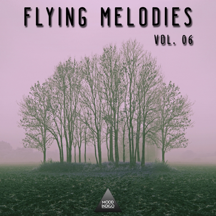 VARIOUS - Fyling Melodies Vol 06