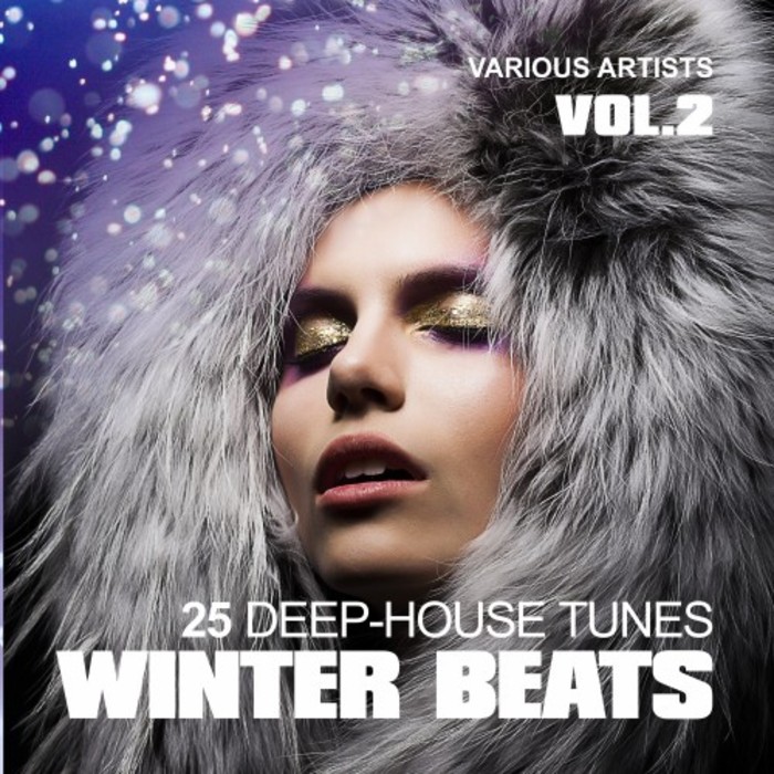 Various Winter Beats (25 DeepHouse Tunes) Vol 2 at Juno Download