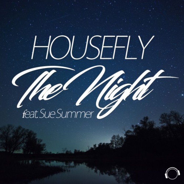 HOUSEFLY feat SUE SUMMER - The Night