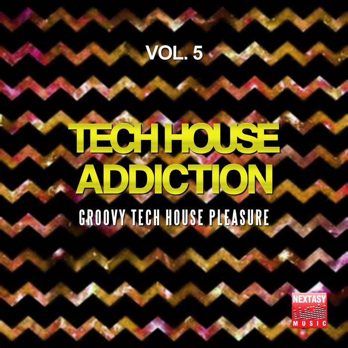 VARIOUS - Tech House Addiction Vol 5: Groovy Tech House Pleasure
