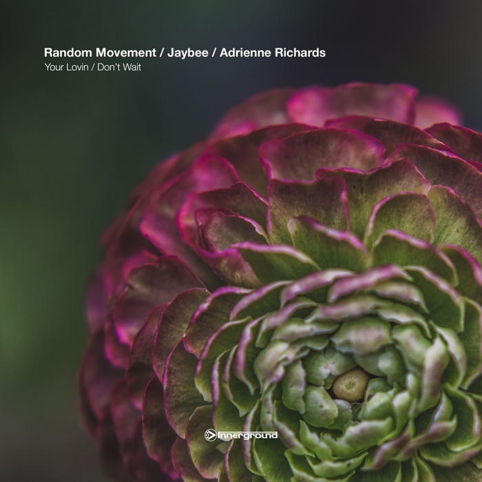 JAYBEE/RANDOM MOVEMENT feat ADRIENNE RICHARDS - Your Lovin'