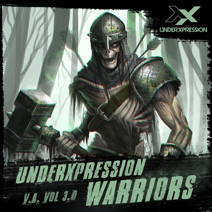 VARIOUS - Warriors Vol 3