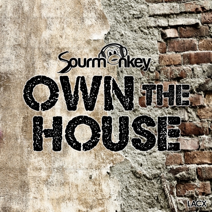 DJ SOURMONKEY - Own The House