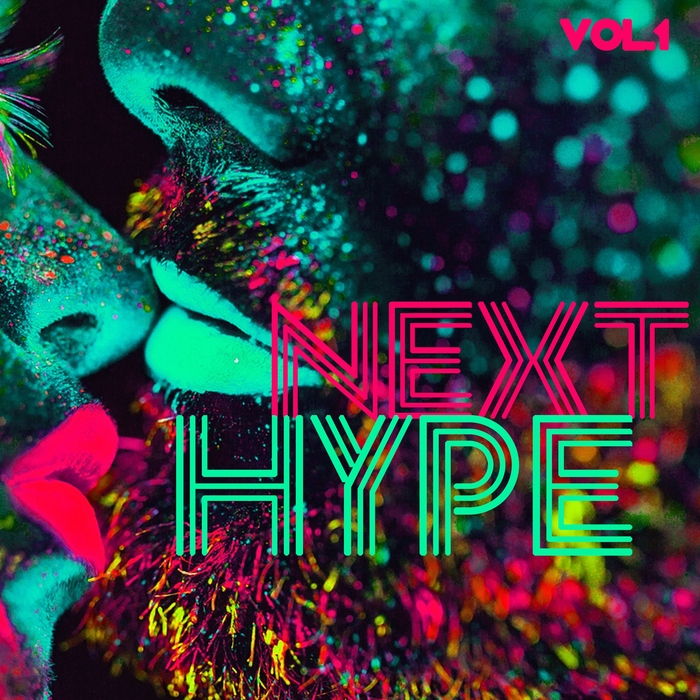 VARIOUS - Next Hype Vol 1 (Selection Of House Music)