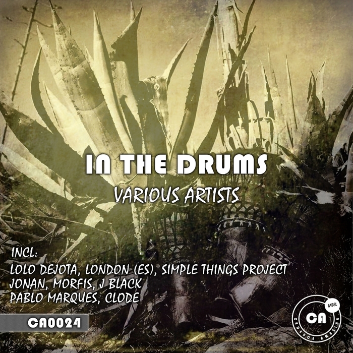 VARIOUS - In The Drums