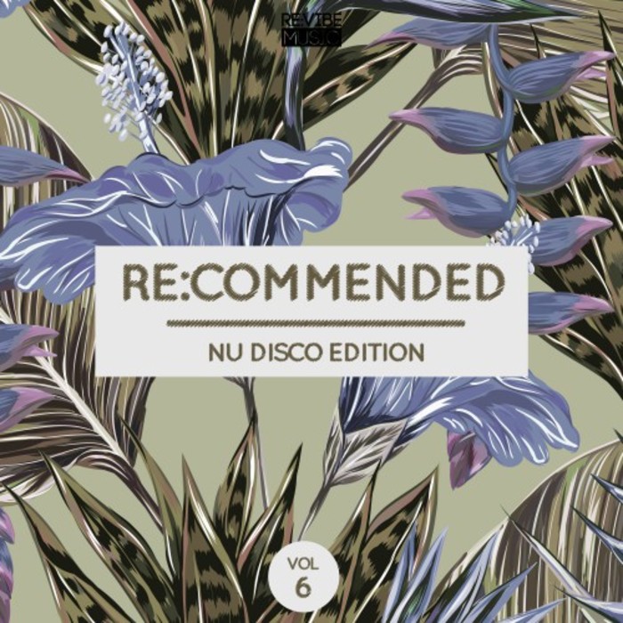 VARIOUS - Re:Commended (Nu Disco Edition Vol 6)