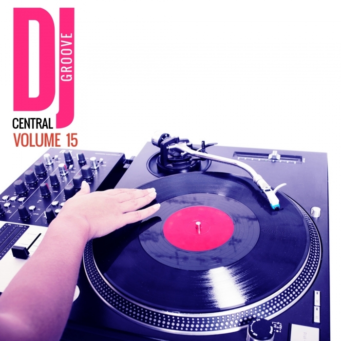 Various DJ Central Groove Vol 15 at Juno Download