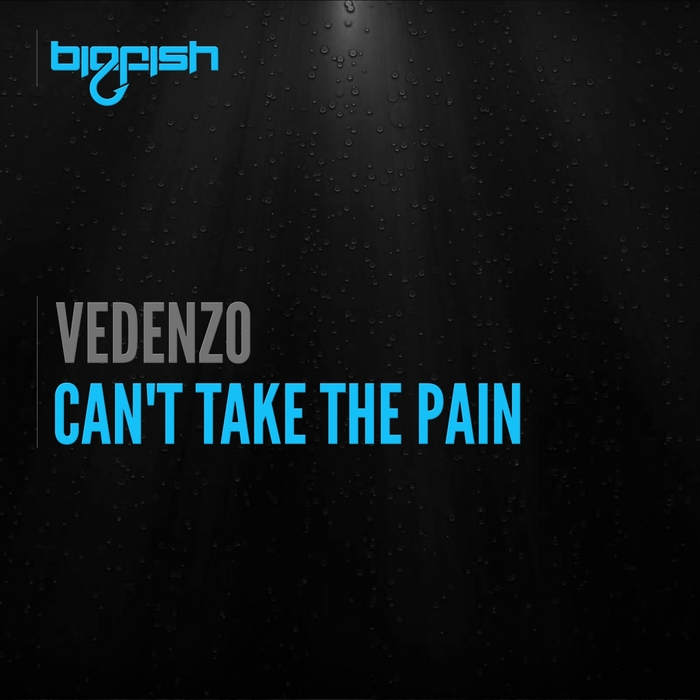 VEDENZO - Can't Take The Pain