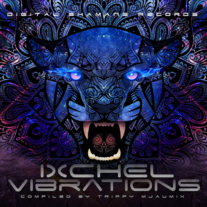 VARIOUS - Ixchel Vibrations