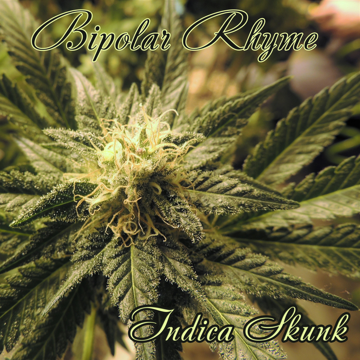 indica-skunk-by-bipolar-rhyme-on-mp3-wav-flac-aiff-alac-at-juno