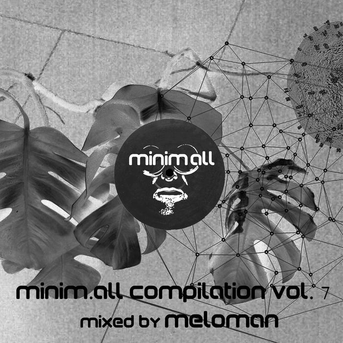 MELOMAN/VARIOUS - Minim.all Compilation Vol 7 (unmixed tracks)