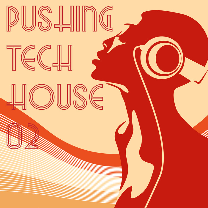 VARIOUS - Pushing Tech House Vol 2