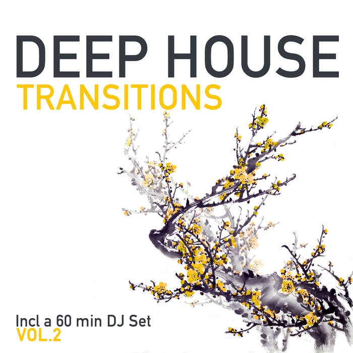 VARIOUS - Deep House Transitions Vol 2