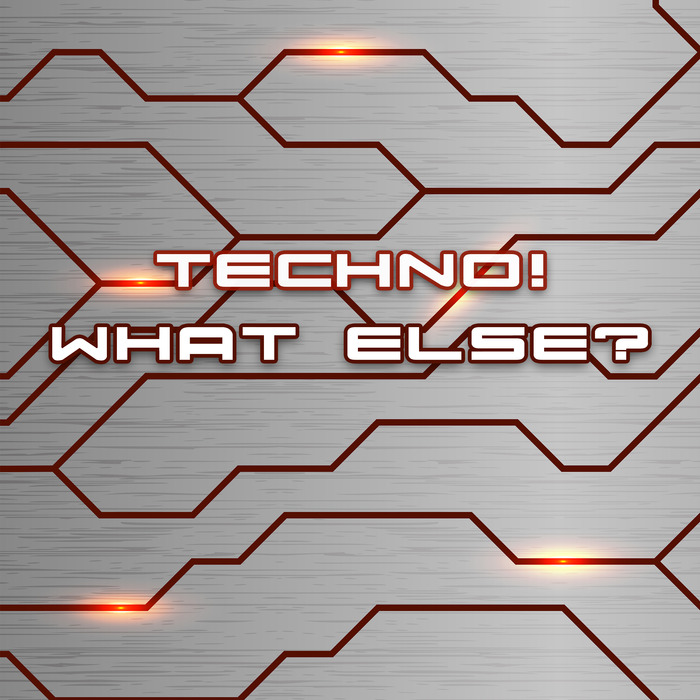 VARIOUS - Techno! What Else?