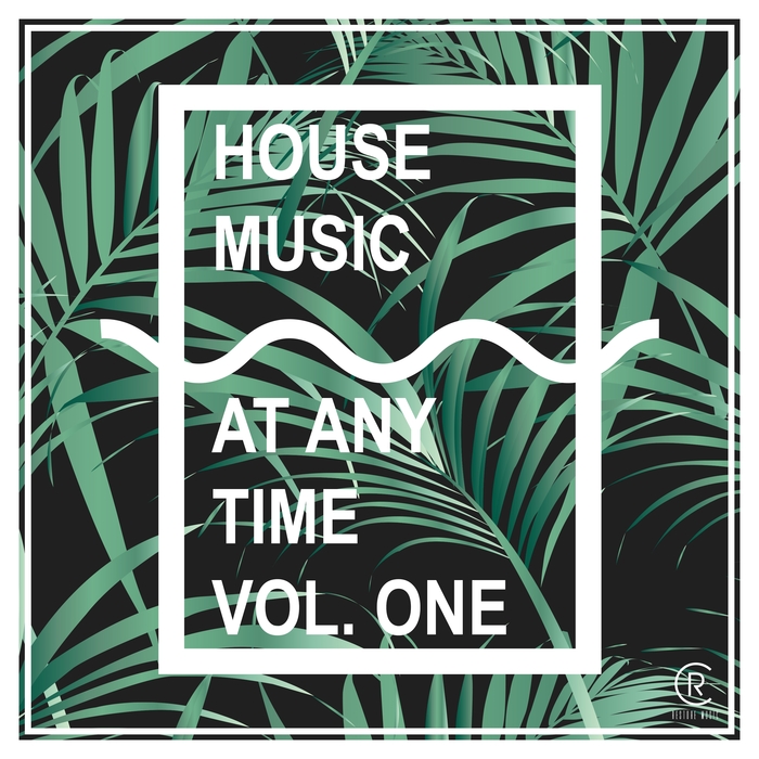 VARIOUS - Housemusic At Any Time Vol 1