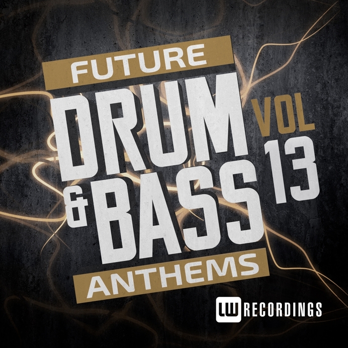 VARIOUS - Future Drum & Bass Anthems Vol 13