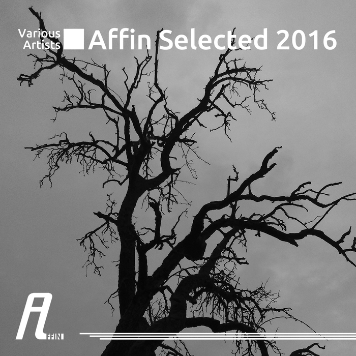 VARIOUS - Affin Selected 2016