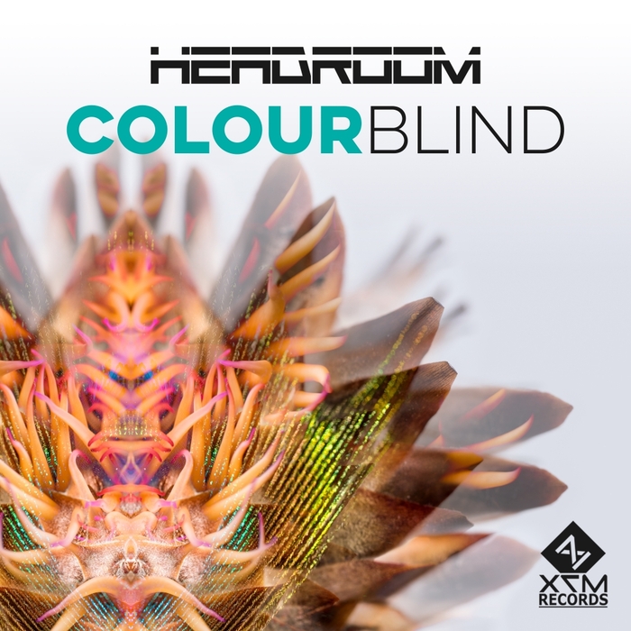 HEADROOM (SA) - Colour Blind