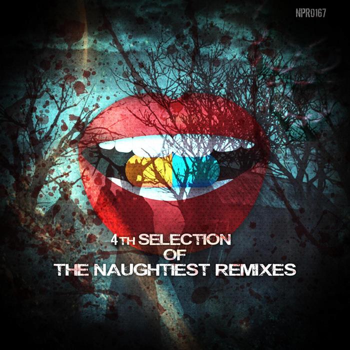 VARIOUS - 4th Selection Of The Naughtiest Remixes