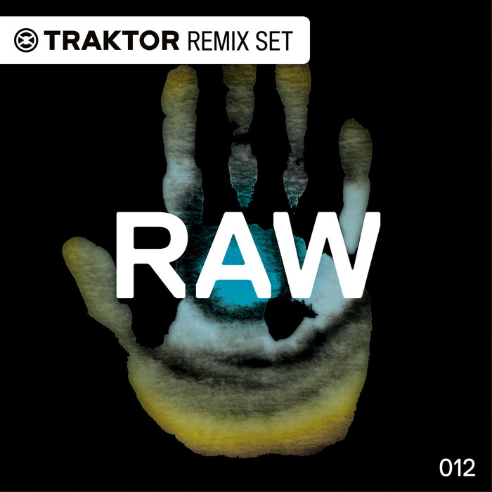 ALEX COSTA - RAW 012 (Traktor Remix Sets)