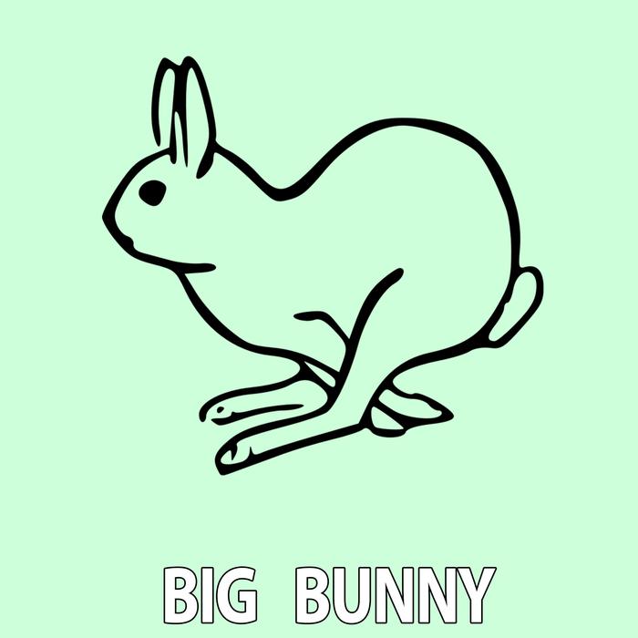 21 ROOM/BIG BUNNY/DROFF/ROUSING HOUSE - Techno Bunny Best