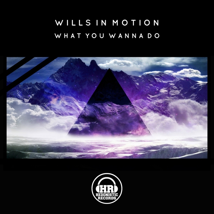 WILLS IN MOTION - What You Wanna Do
