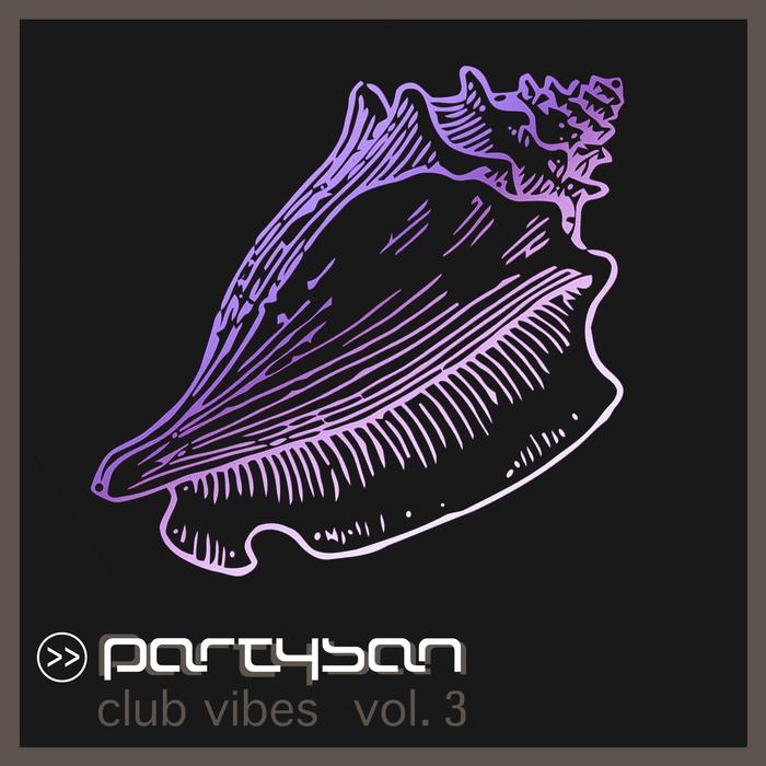 VARIOUS - Partysan Club Vibes Vol 3