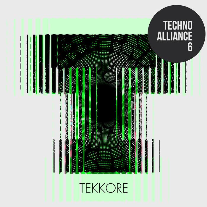 VARIOUS - Techno Alliance 6