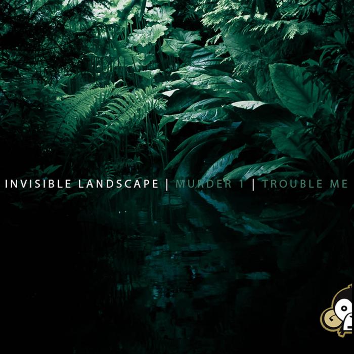 INVISIBLE LANDSCAPE - Murder 1