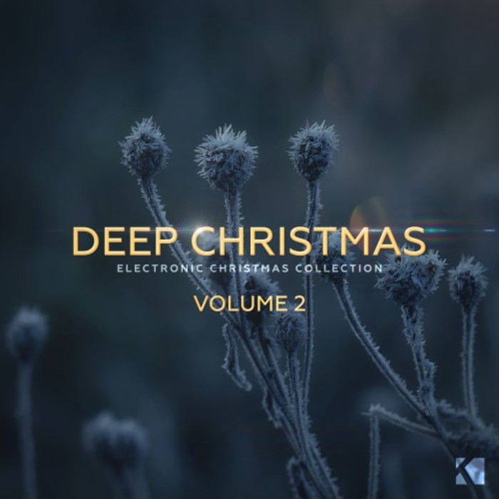 VARIOUS - Deep Christmas Vol 2 (unmixed tracks)