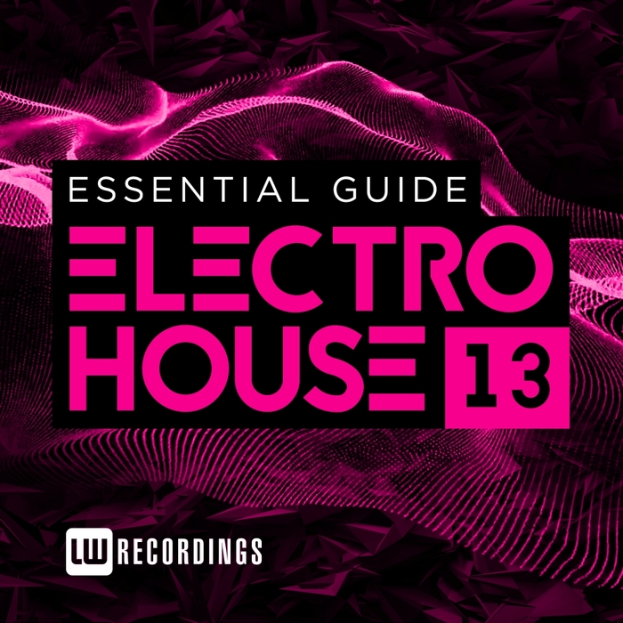 VARIOUS - Essential Guide: Electro House Vol 13