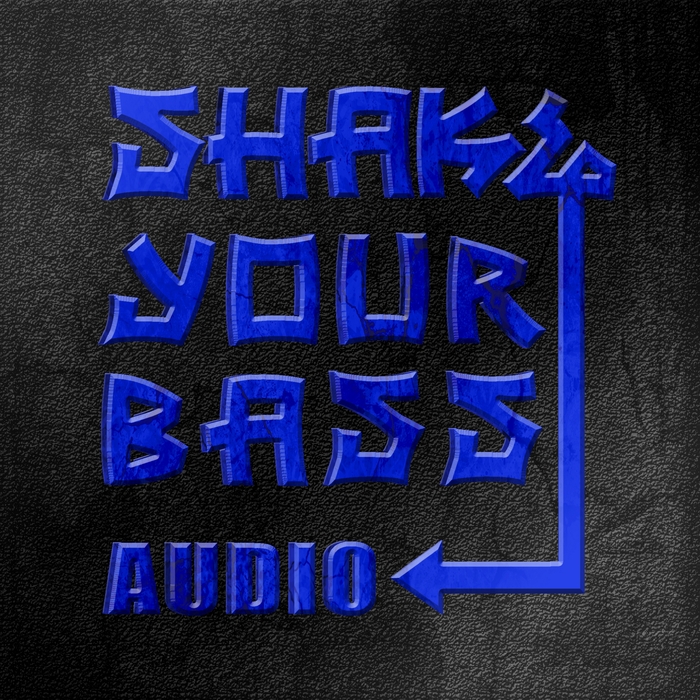 VARIOUS - Shake Your Bass Vol 2