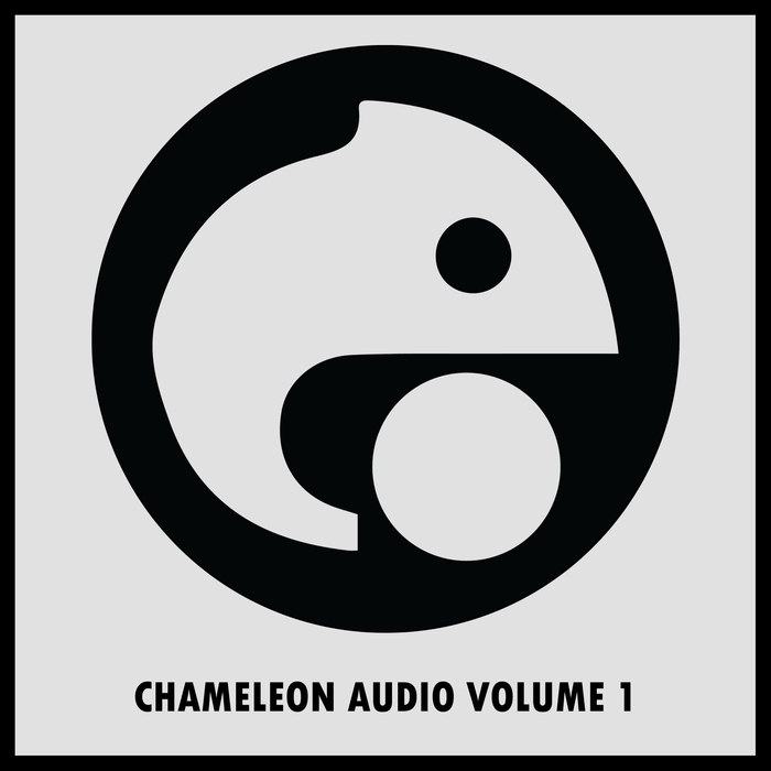 VARIOUS - Chameleon Audio Volume 1