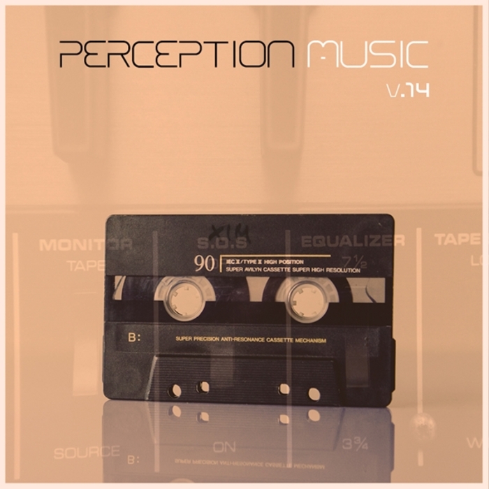 VARIOUS - Perception Music Vol 14