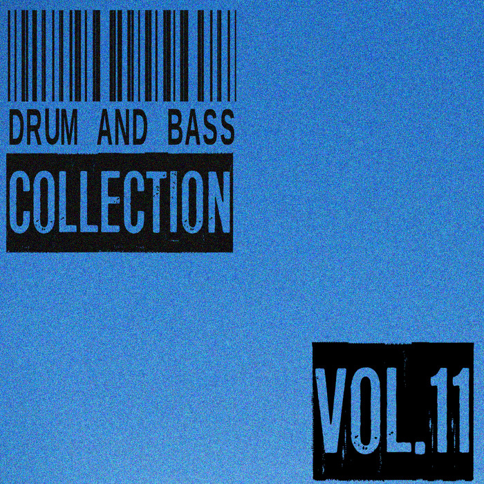 VARIOUS - Drum And Bass Collection Vol 11