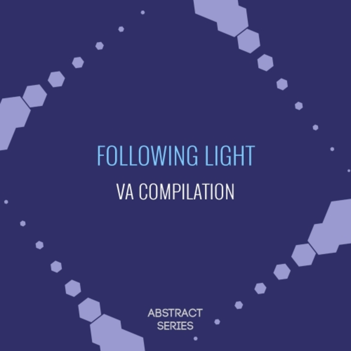 VARIOUS - Following Light - Retrospective VA Compilation