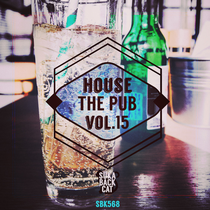 VARIOUS - House The Pub Vol 15