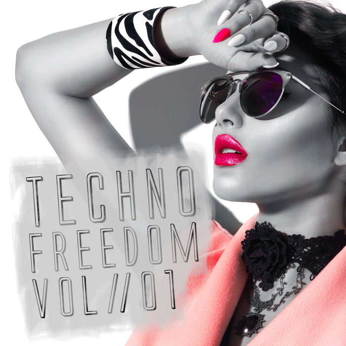 VARIOUS Techno Freedom Vol 1 at Juno Download