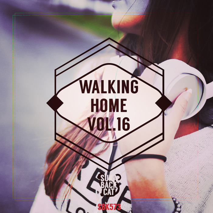 VARIOUS - Walking Home Vol 16