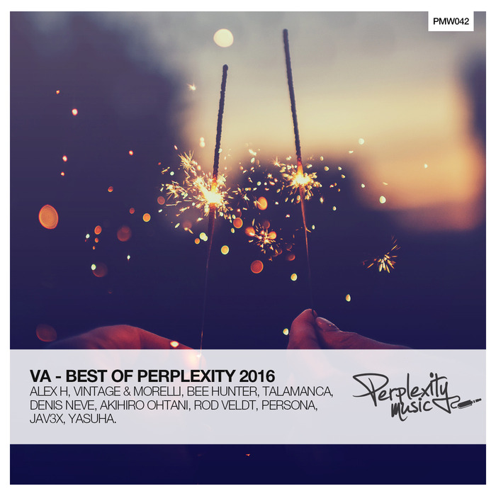 BEE HUNTER/VARIOUS - Best Of Perplexity 2016 (unmixed tracks)