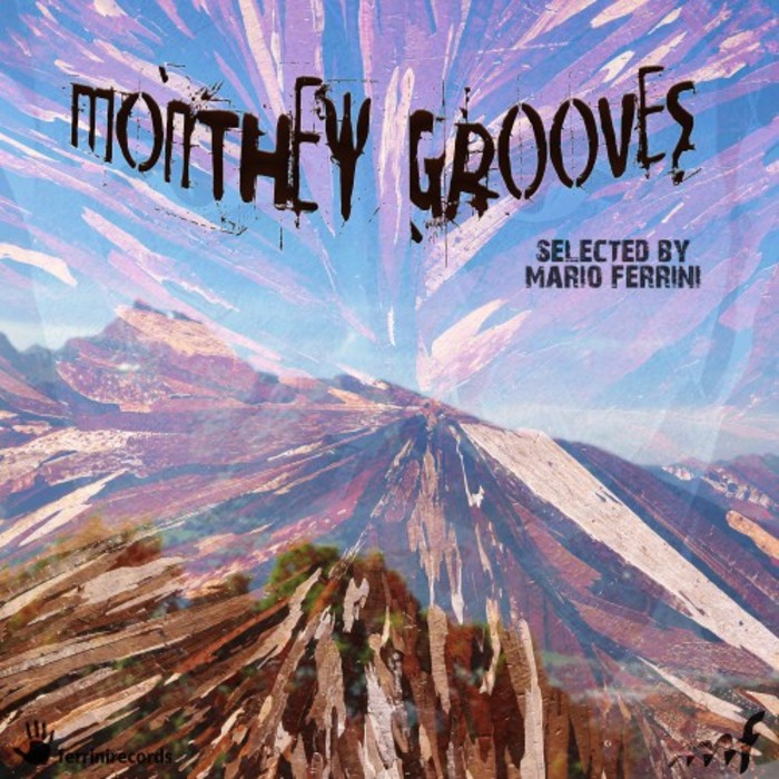 VARIOUS - Monthey Grooves