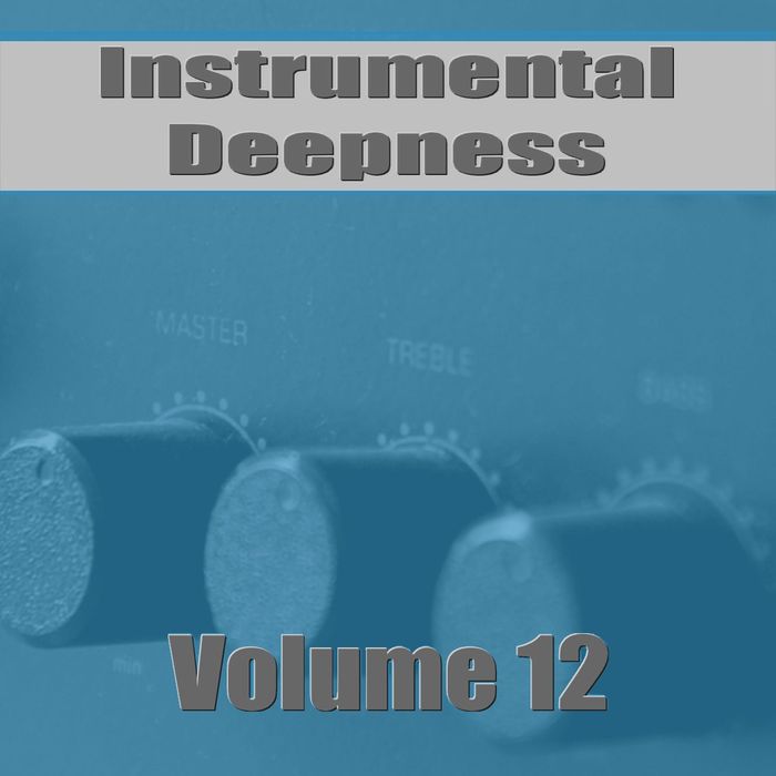 VARIOUS - Instrumental Deepness Vol 12