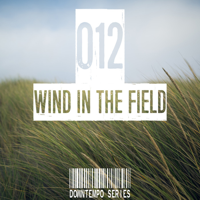 VARIOUS - Wind In The Field (Downtempo Series) Vol 012