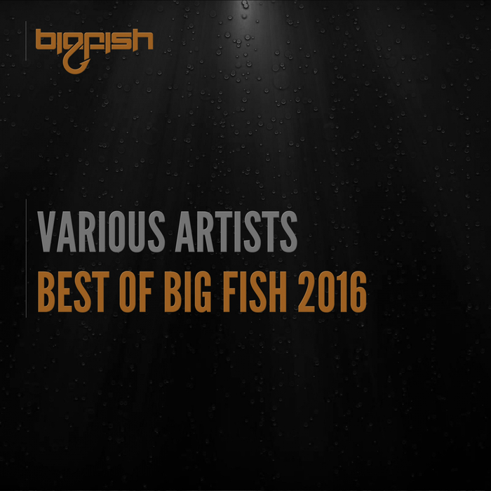 VARIOUS - Best Of Big Fish 2016