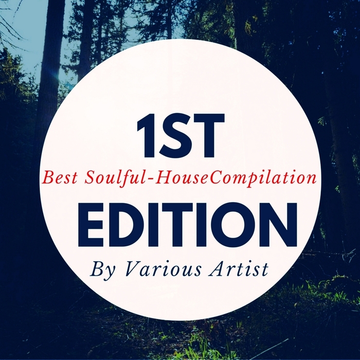 VARIOUS - Best Soulful House Compilation 1st Edition