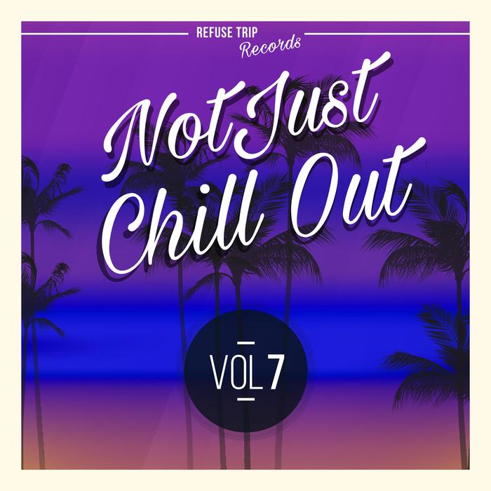 VARIOUS - Not Just Chill Out Vol 7