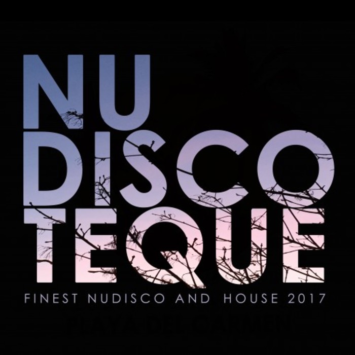 VARIOUS - Nu-Discoteque